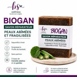 Savon BIOGAN