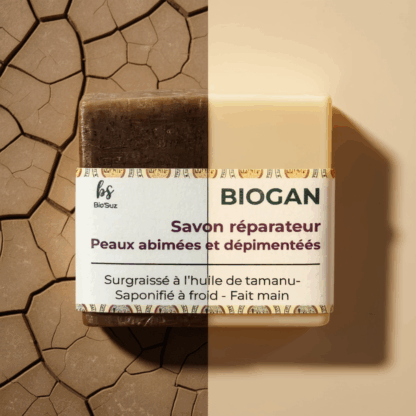 BIOGAN – Image 3