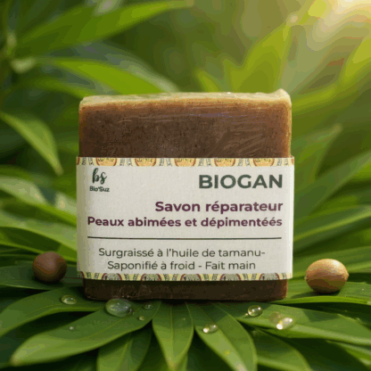 BIOGAN – Image 2